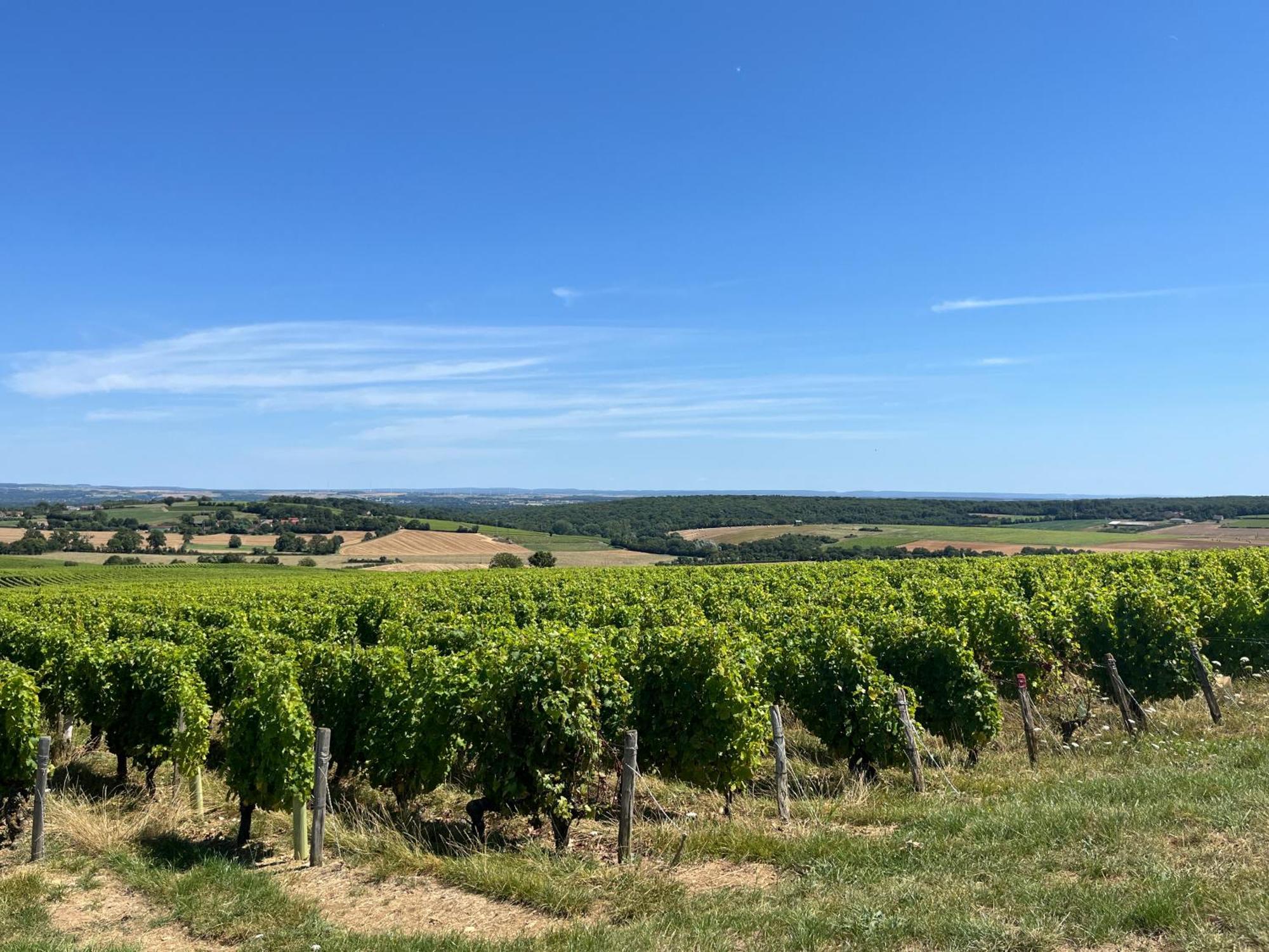 Hotel Sainte-gemme Sainte-Gemme-en-Sancerrois